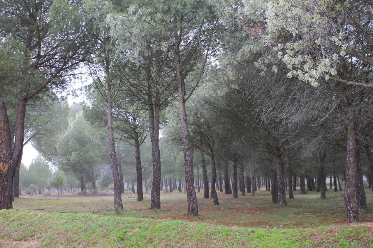 Las Gavias Matapozuelos Екстериор снимка